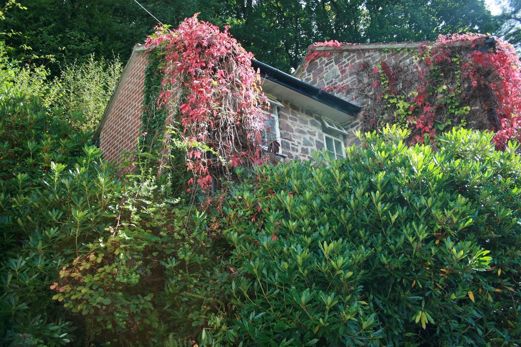 The Bark House Hotel Tiverton  Exterior foto